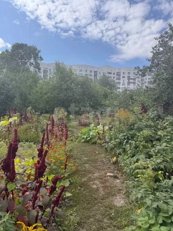 Дом в Курская область, Курск ул. Аристарховой, 56А (60 м) - Фото 1