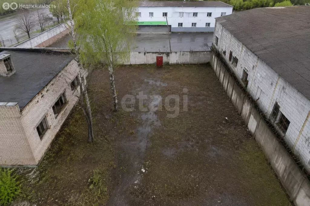 Помещение свободного назначения (183 м) - Фото 2
