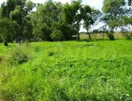 Участок в Калининградская область, Зеленоградский муниципальный округ  ... - Фото 1