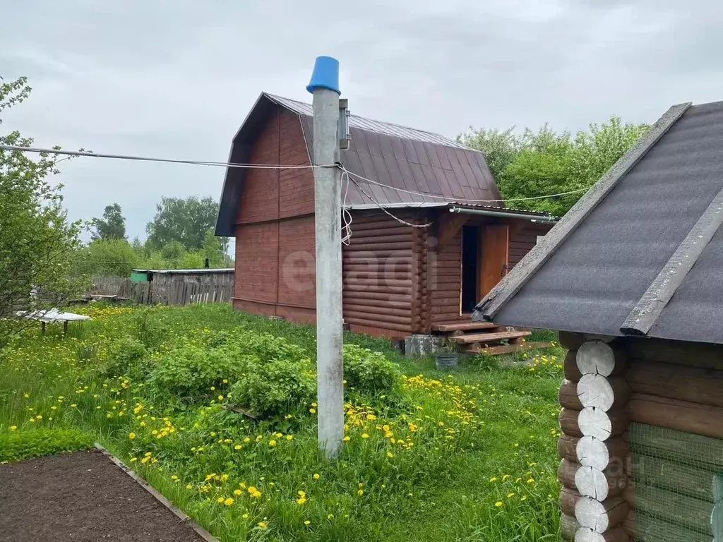 Дом в Вологодская область, д. Пудега 19А (58 м) - Фото 1