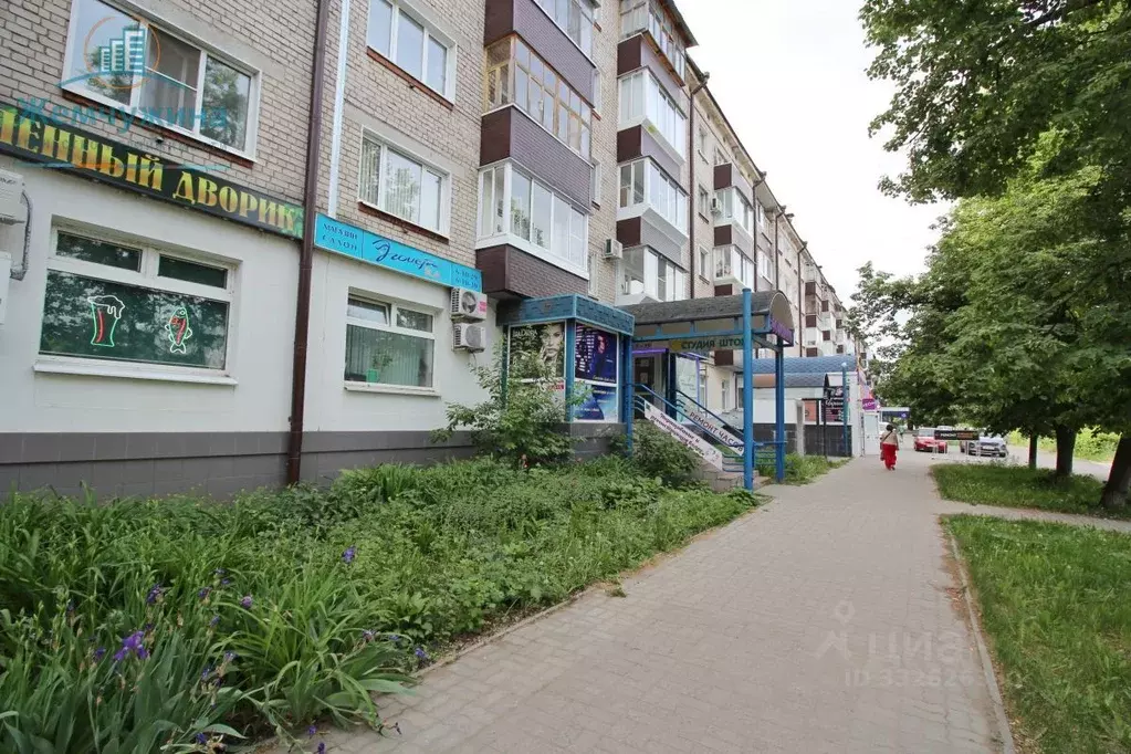 Помещение свободного назначения в Ульяновская область, Димитровград ... - Фото 2