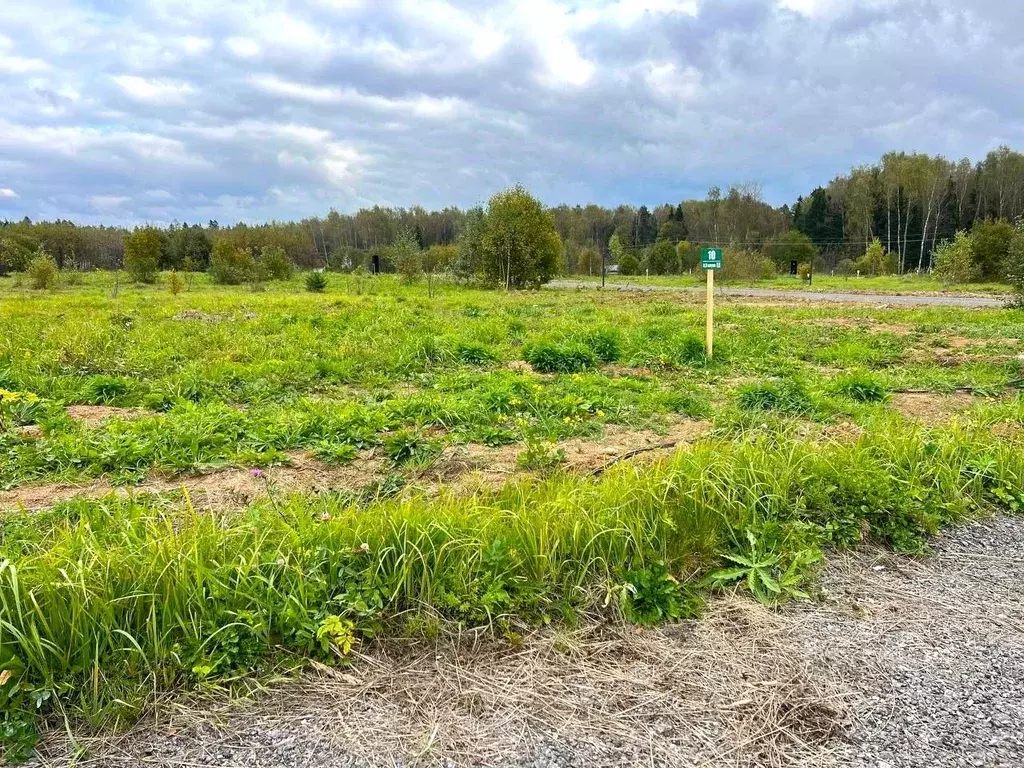 Участок в Московская область, Чехов муниципальный округ, д. Слепушкино ... - Фото 1