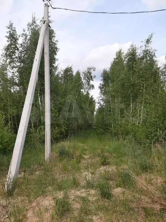 Участок 12 сот. (ИЖС) - Фото 0