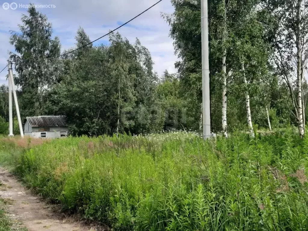 Участок в Калининградская область, Гурьевский муниципальный округ, ДНП ... - Фото 0