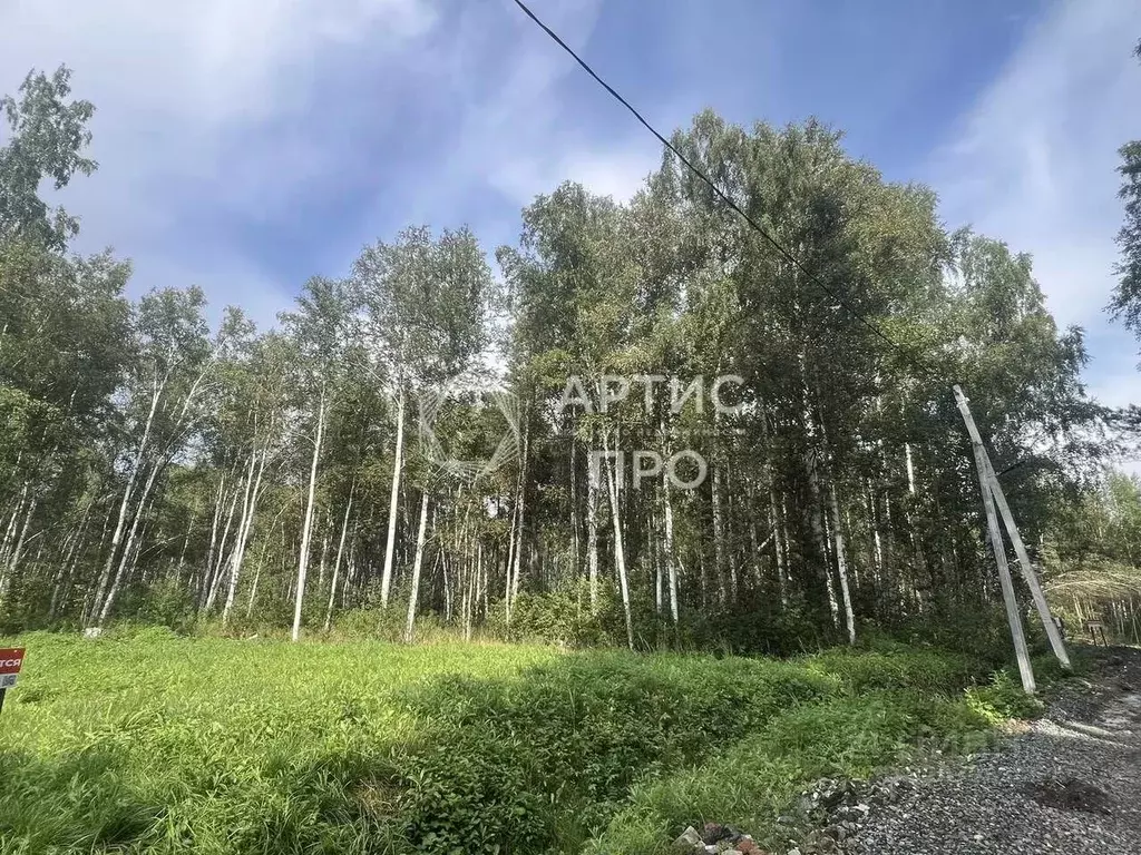 Участок в Свердловская область, Екатеринбург ул. Кордон Шиловский ... - Фото 2