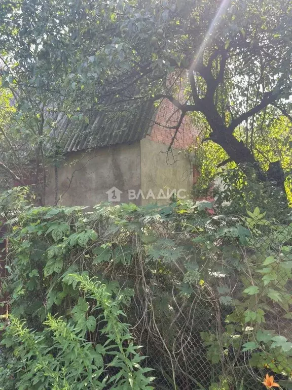 Дом в Воронежская область, Воронеж Садовод СНТ, ул. Ягодная, 5 (44 м) - Фото 1