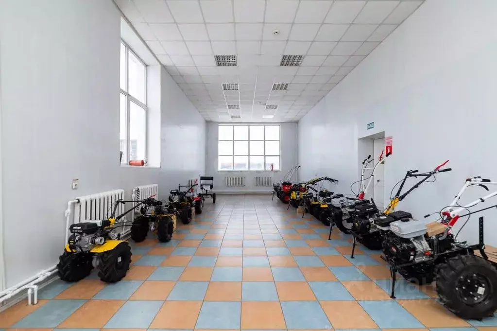 Помещение свободного назначения в Курганская область, Курган ул. ... - Фото 1