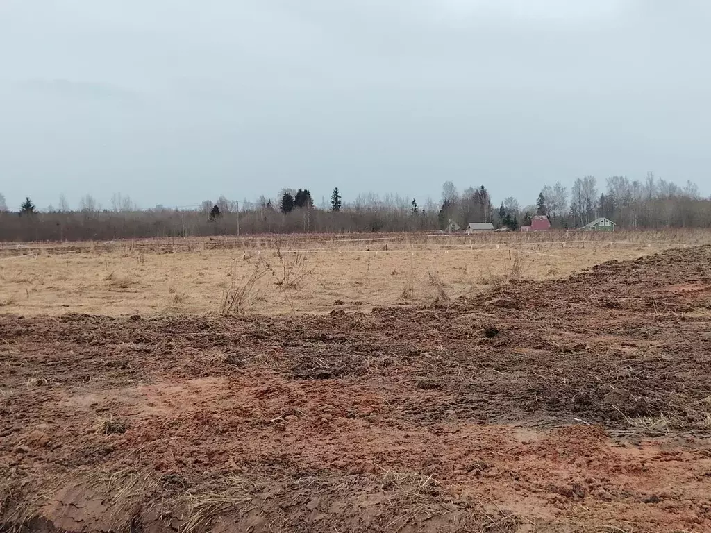 Участок в Ленинградская область, Гатчинский муниципальный округ, пос. ... - Фото 1