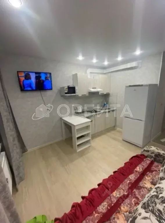 Студия Тюменская область, Тюмень ул. Новоселов, 113 (17.7 м) - Фото 2