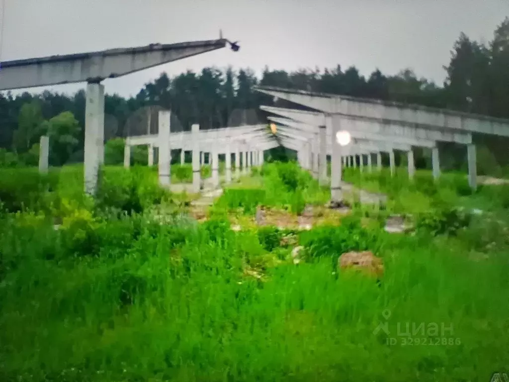 Участок в Московская область, Коломна городской округ, д. Щурово ул. ... - Фото 2