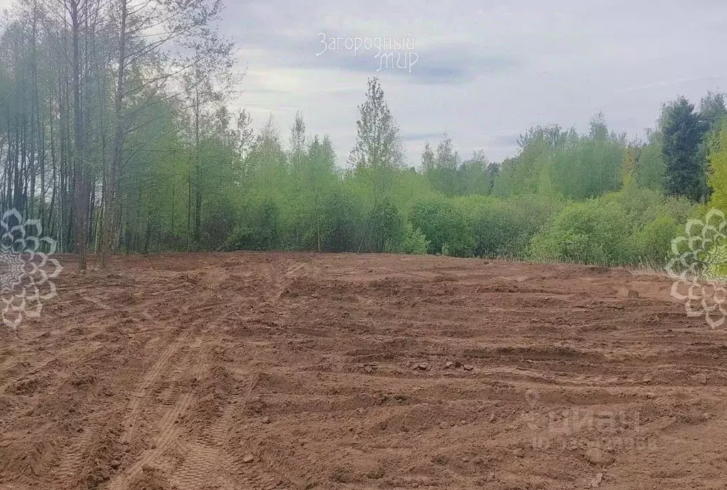 Участок в Московская область, Балашиха СНТ Заря тер.,  (10.0 сот.) - Фото 1