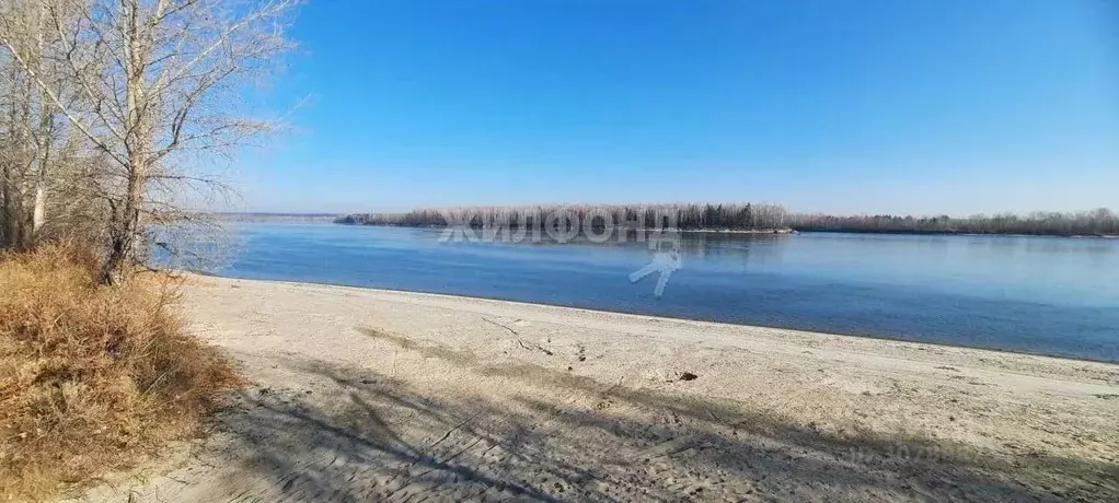 Участок в Новосибирская область, Колыванский район, Печать СНТ  (6.0 ... - Фото 1