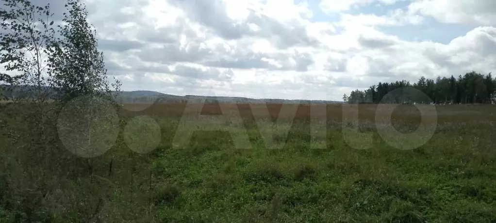 Участок 1,23 га (СНТ, ДНП) - Фото 0