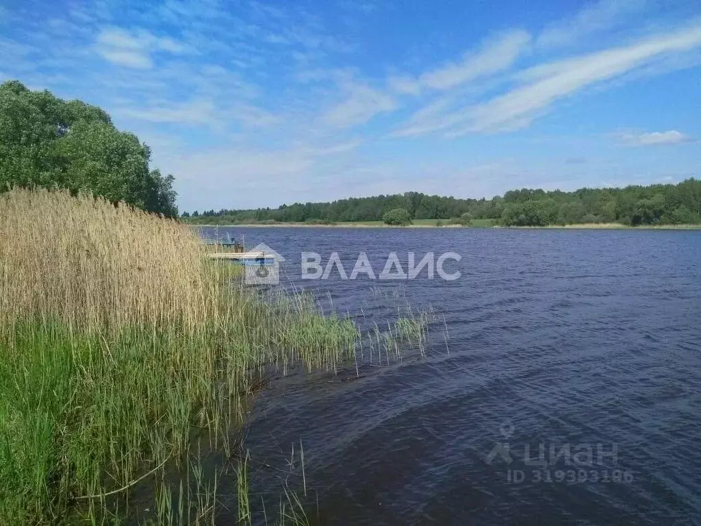 Участок в Тверская область, Кимрский муниципальный округ, д. Ваулино  ... - Фото 0