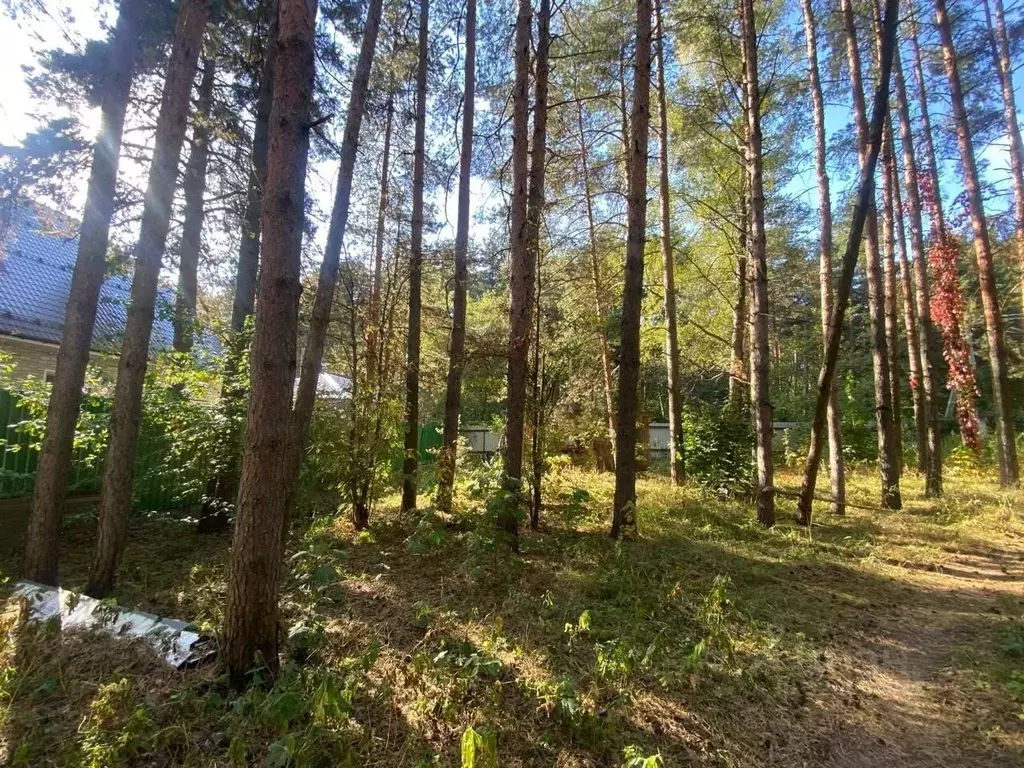 Дом в Московская область, Раменское ул. Сосновый Бор (90 м) - Фото 2