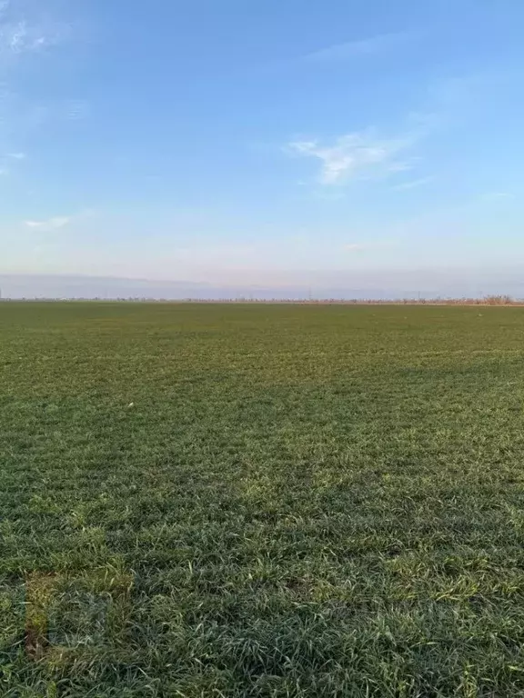 Участок в Крым, Сакский район, с. Уютное  (100.0 сот.) - Фото 1