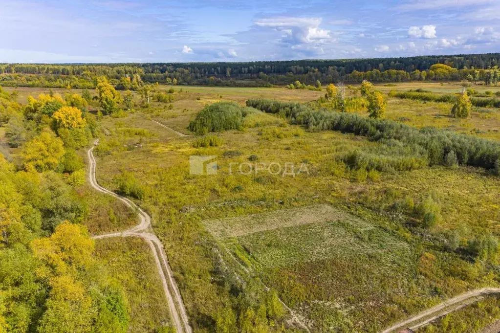 Участок в Новосибирская область, Новосибирский район, Кубовинский ... - Фото 1