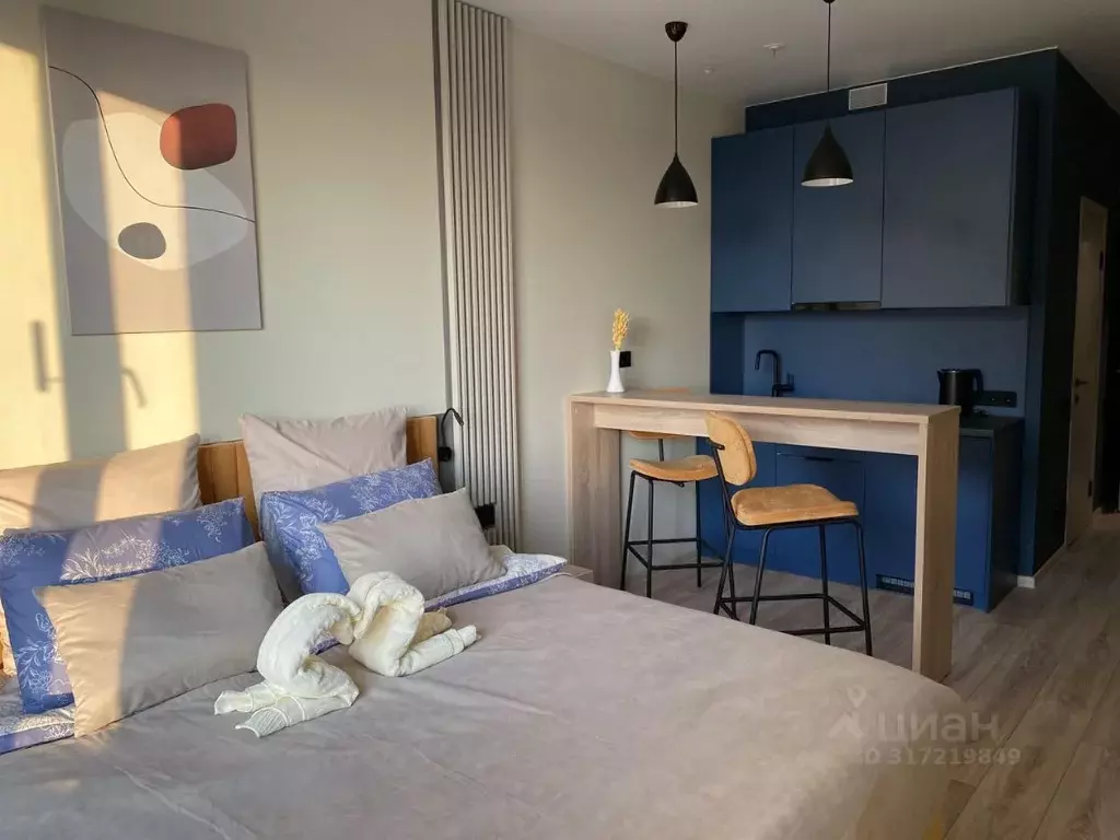 Студия Санкт-Петербург просп. Энергетиков, 8к2 (26.0 м) - Фото 0