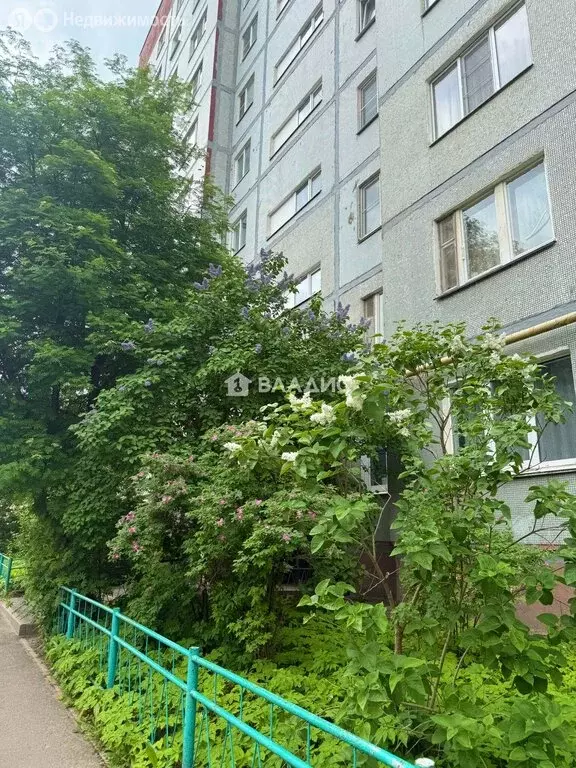 1-комнатная квартира: Вологда, Окружное шоссе, 21 (38 м) - Фото 1