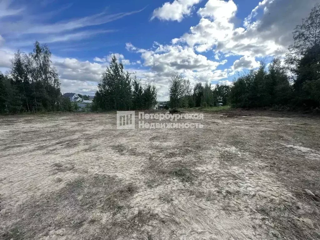 Участок в Ленинградская область, Выборгский район, Рощинское городское ... - Фото 2