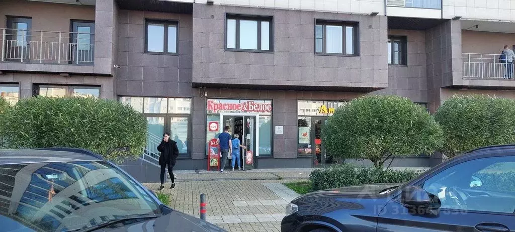 Помещение свободного назначения в Санкт-Петербург Приморский просп., ... - Фото 1