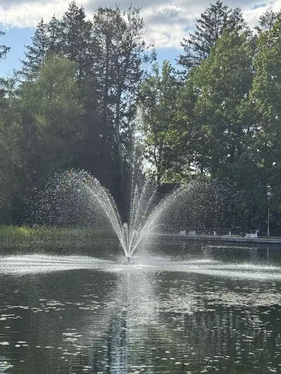 Дом в Московская область, Истра муниципальный округ, д. Котово, Истра ... - Фото 2