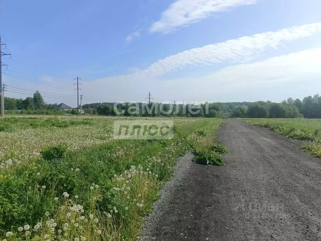 Участок в Калужская область, Совхоз Боровский с/пос, д. Комлево  (8.0 ... - Фото 2