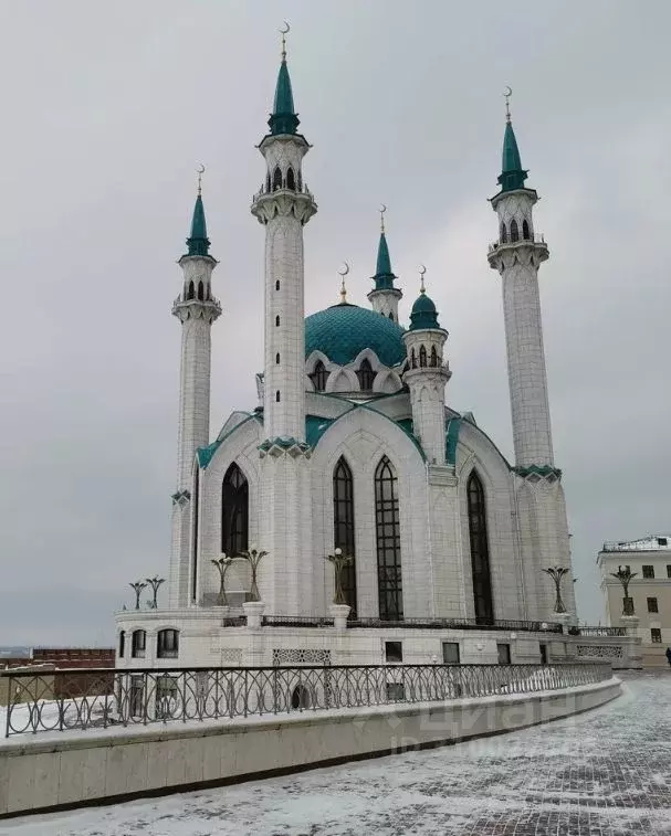 Помещение свободного назначения в Татарстан, Казань Кремль тер., 1 (9 ... - Фото 0