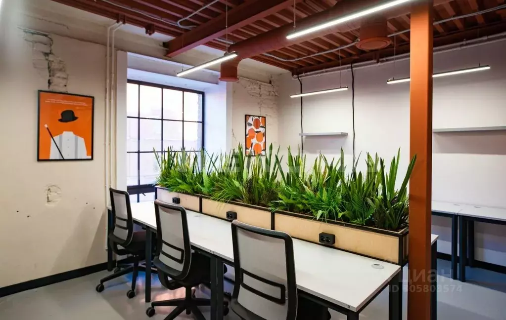 Офис в Санкт-Петербург Курляндская ул., 48 (317 м) - Фото 2