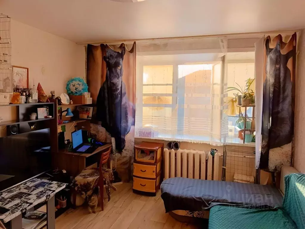 Студия Пермский край, Пермь Торговая ул., 8 (18.5 м) - Фото 1