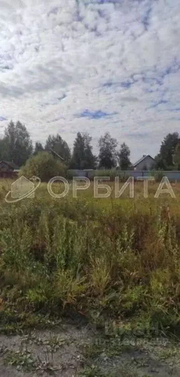Участок в Тюменская область, Тюменский район Салаирский тракт, 14-й км ... - Фото 0