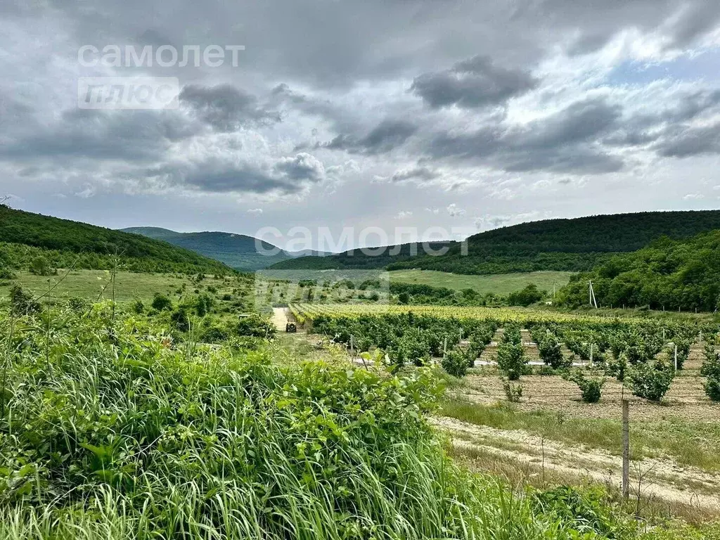 Участок в Севастополь с. Родное, ул. Садовая (5.66 сот.) - Фото 0