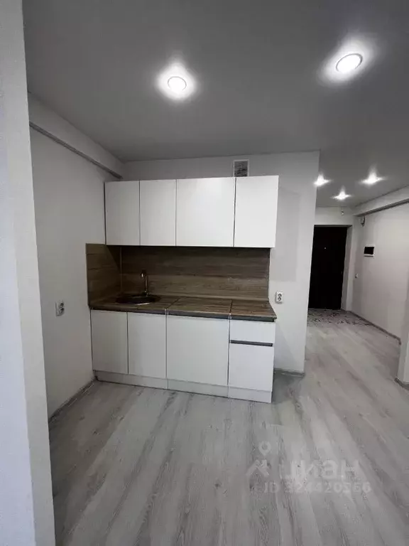 Студия Кировская область, Киров ул. Современная, 13 (30.0 м) - Фото 1