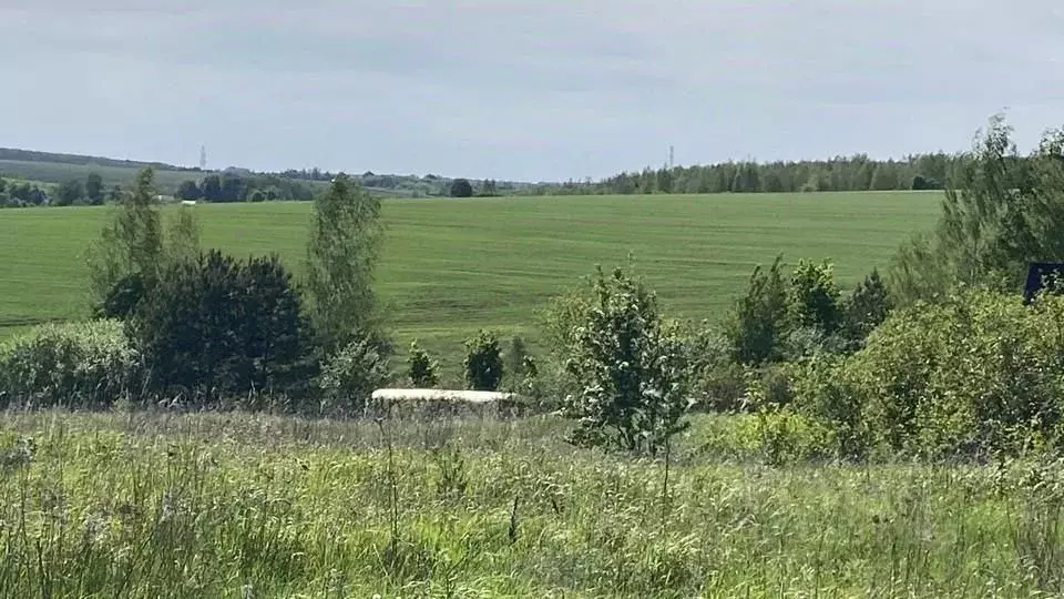 Участок в Московская область, Кашира городской округ, д. Клубня  ... - Фото 0