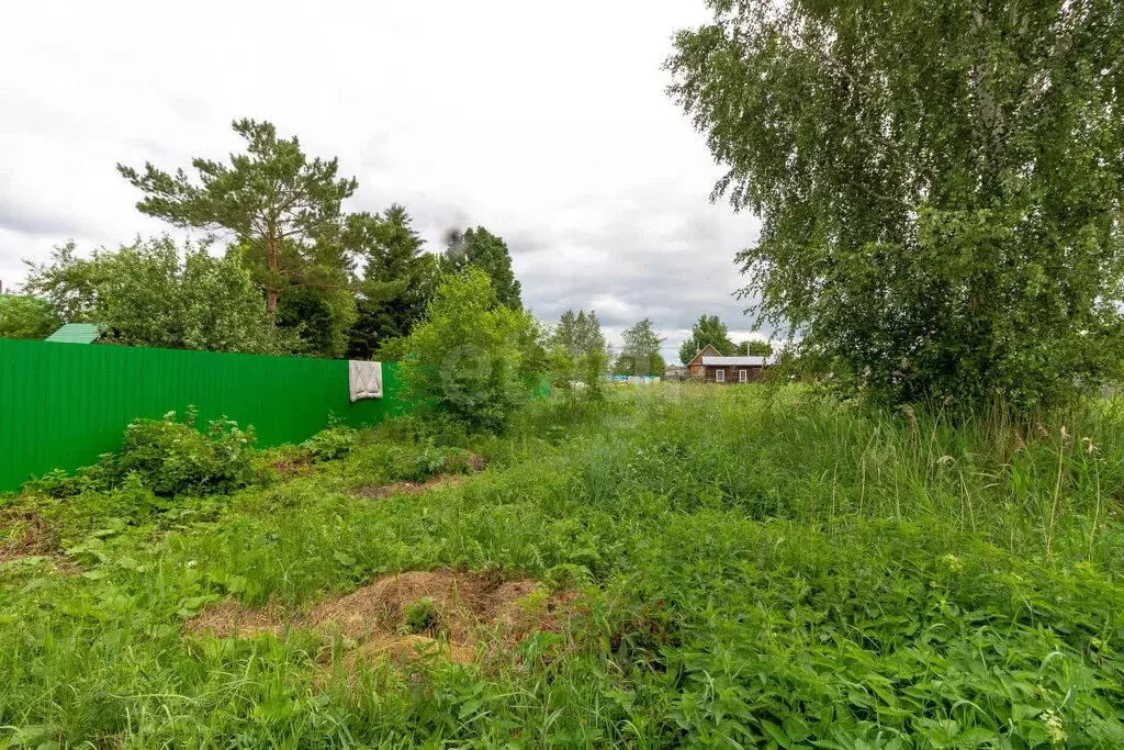 Участок в Тюмень, СНТ Плодовое, Дубовая улица (6 м) - Фото 2