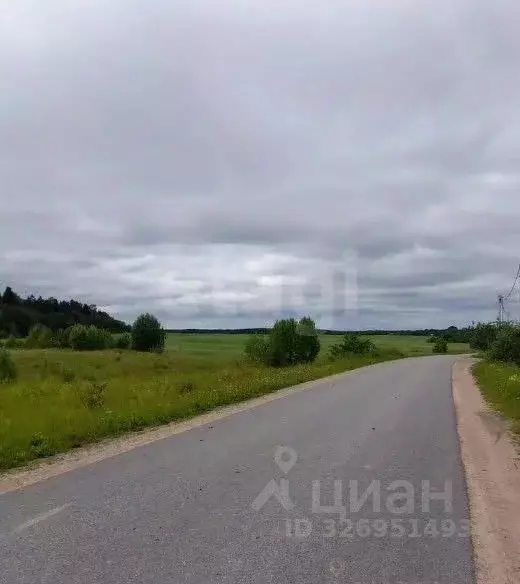 Участок в Ленинградская область, Волосово просп. Вингиссара (773.96 ... - Фото 2