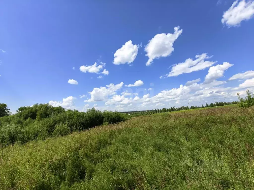 Участок в Мордовия, Саранск городской округ, пос. Пушкино  (15.0 сот.) - Фото 1