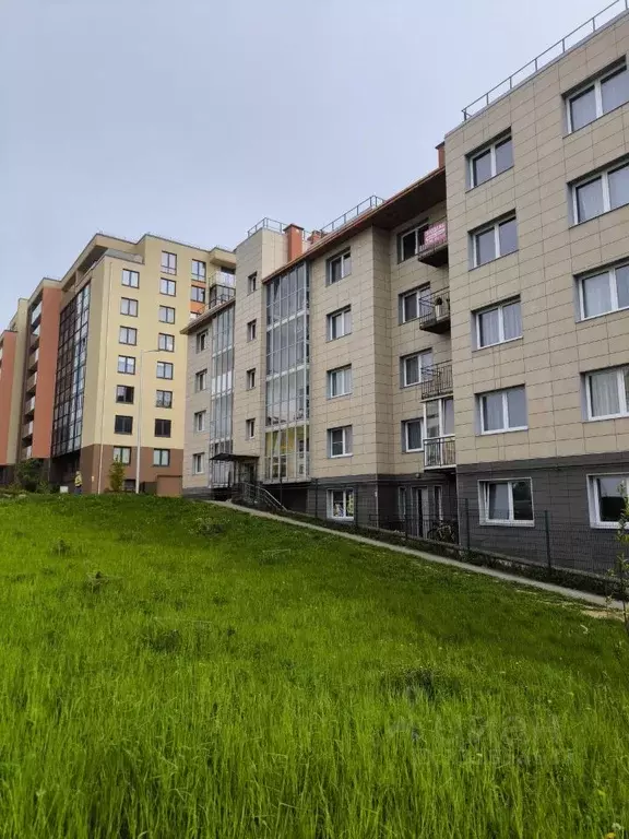 Помещение свободного назначения в Калининградская область, Светлогорск ... - Фото 1