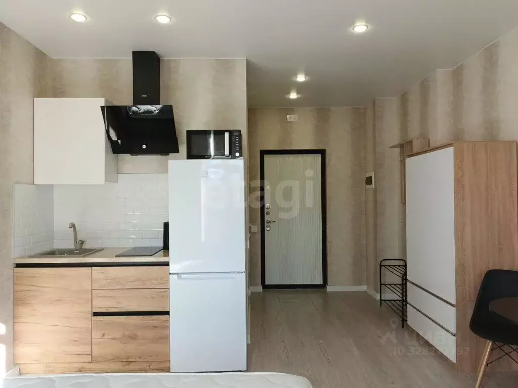 Студия Санкт-Петербург пер. Майков, 4а (20.8 м) - Фото 1