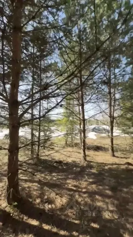Участок в Московская область, Ступино городской округ, д. Калянино ул. ... - Фото 1