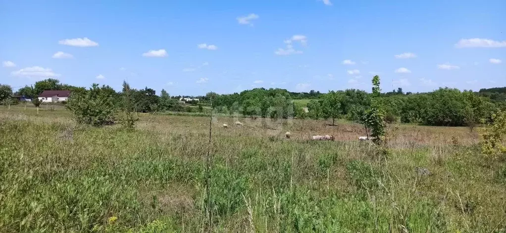 Участок в Белгородская область, Губкинский городской округ, с. ... - Фото 0