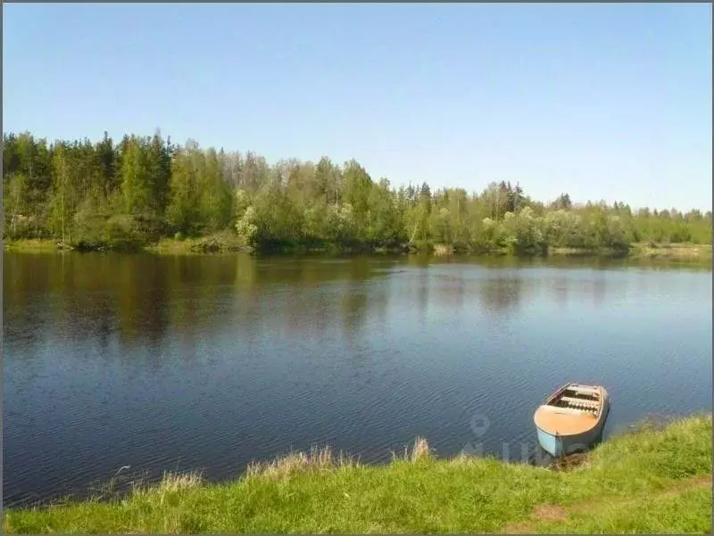 Участок в Ленинградская область, Кингисеппский район, Куземкинское ... - Фото 1