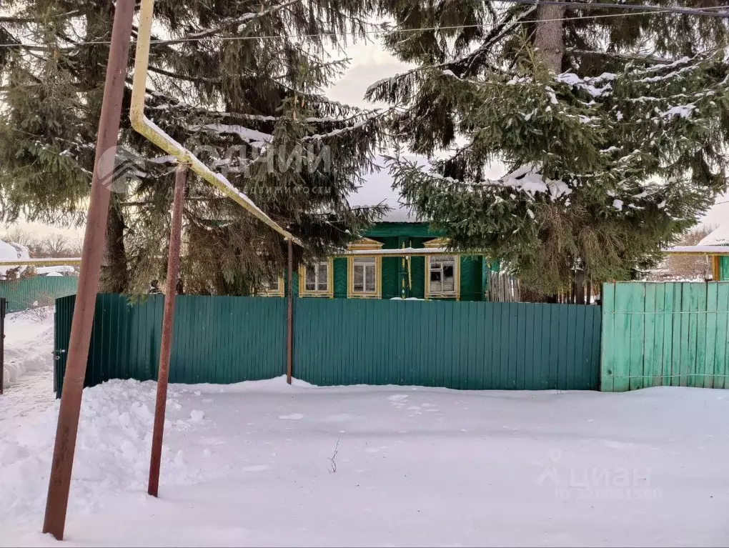 Дом в Чувашия, Шумерля ул. Белинского, 18 (34 м) - Фото 1