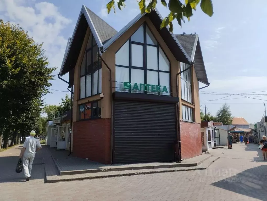 Помещение свободного назначения в Калининградская область, Светлый ул. ... - Фото 1