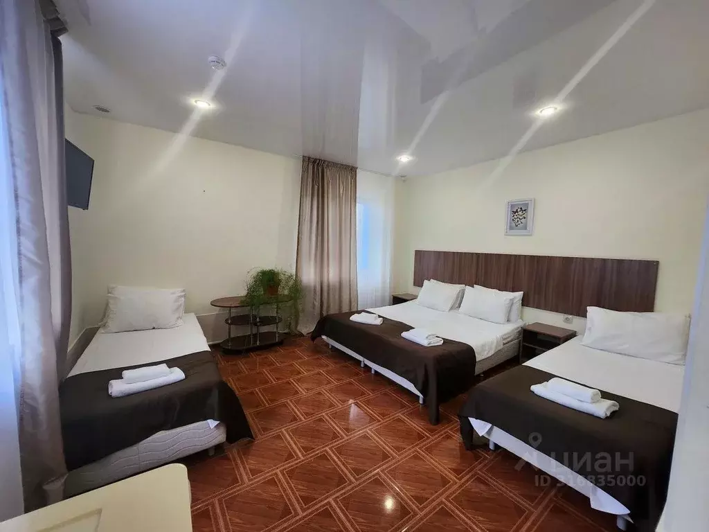 Комната Краснодарский край, Анапа муниципальный округ, с. Витязево ... - Фото 2