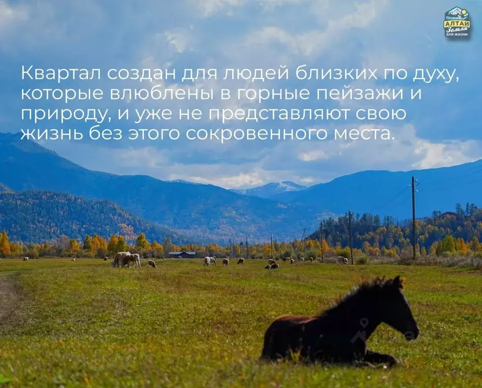 Участок в Алтай, Усть-Коксинский район, с. Тихонькая  (18.0 сот.) - Фото 2