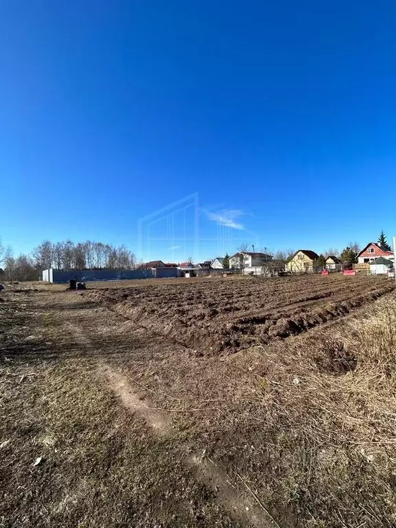 Участок в Владимирская область, Александровский район, Андреевское ... - Фото 1