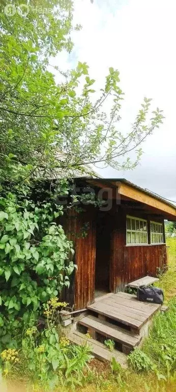 Дом в Кемеровский муниципальный округ, СНТ Лесная Новь (45 м) - Фото 1