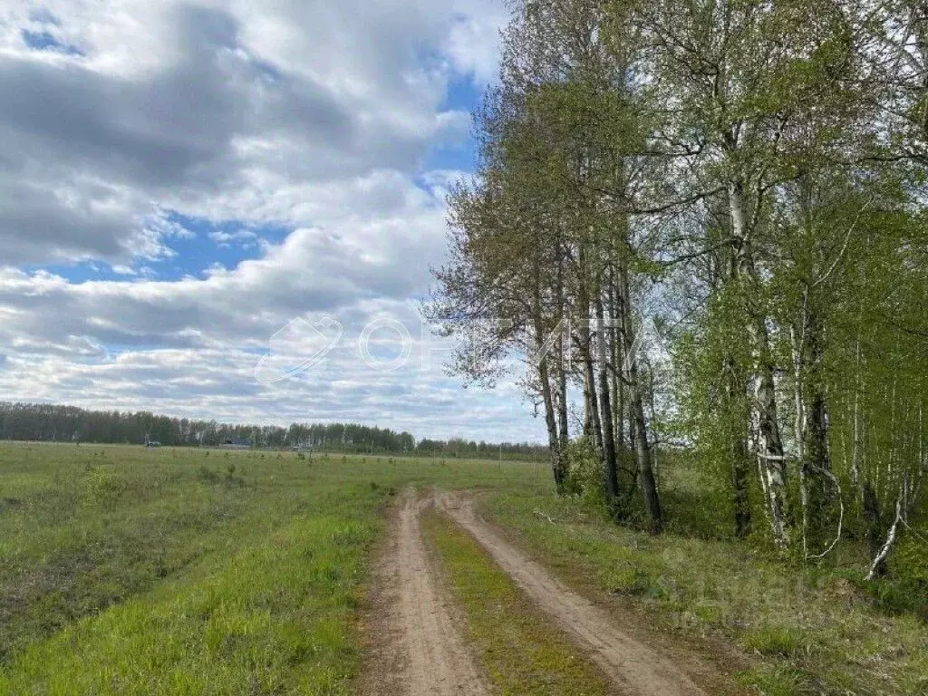 Участок в Тюменская область, Тюмень Мыс мкр, ул. Ушакова (7.0 сот.) - Фото 0