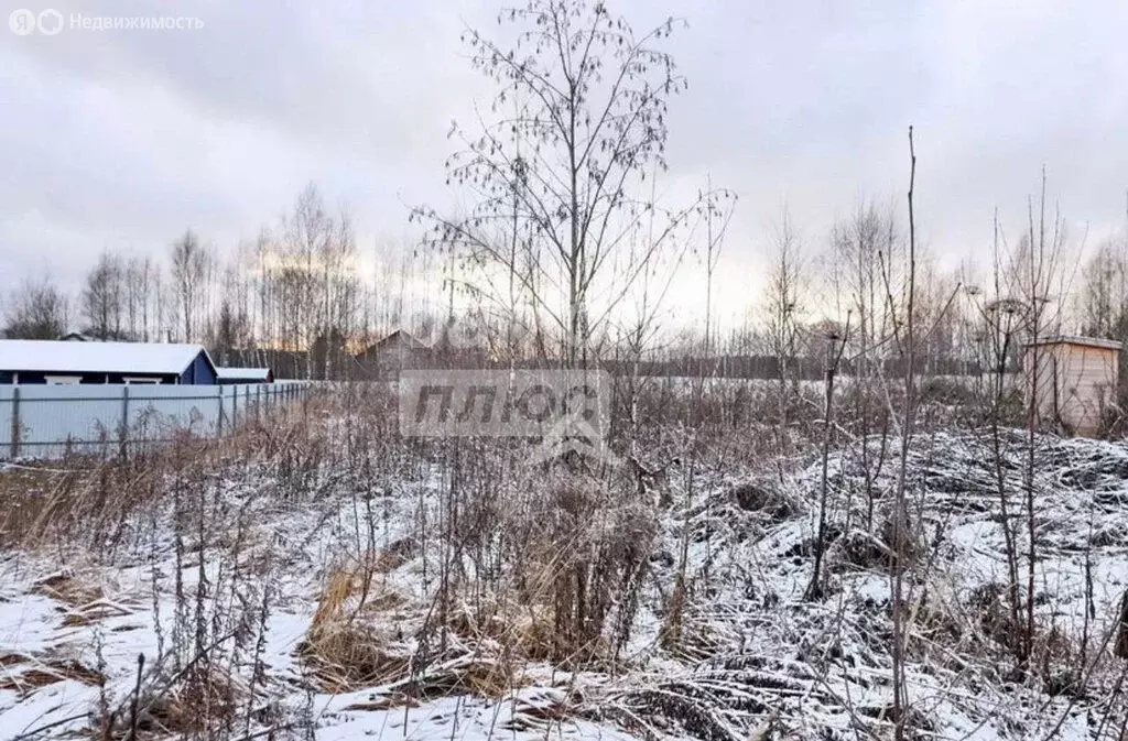 Участок в Московская область, городской округ Солнечногорск, деревня ... - Фото 2